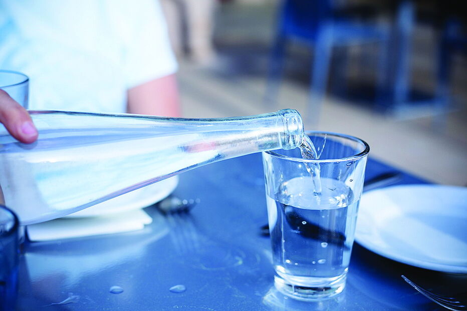 Nutrientes são transportados para as células graças à ingestão de água 