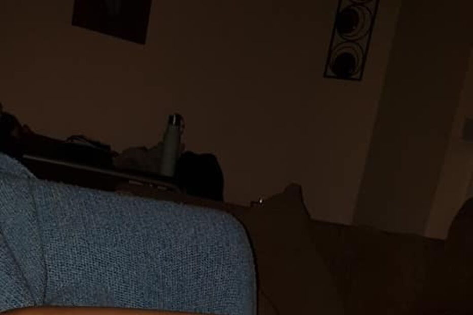 Família em risco de perder casa após ter salvo porco de abate