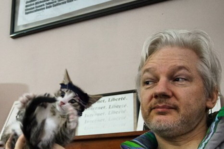 Gato de Julian Assange foi retirado da embaixada do Equador