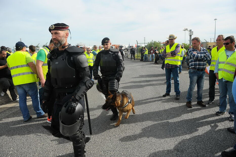 Concentração de motoristas durante greve nacional leva a intervenção da GNR