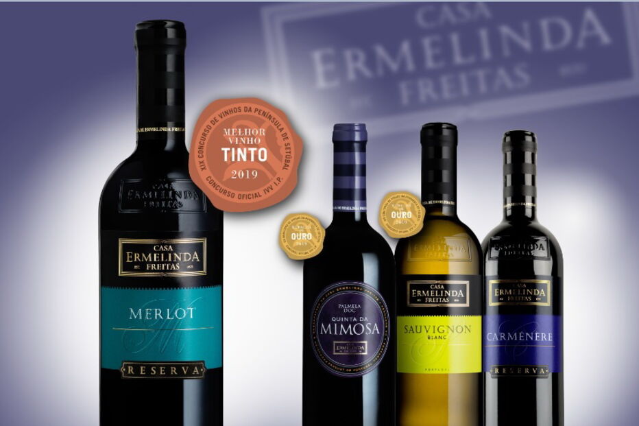 2019-04-17_17_39_06 IMAGEM.jpg