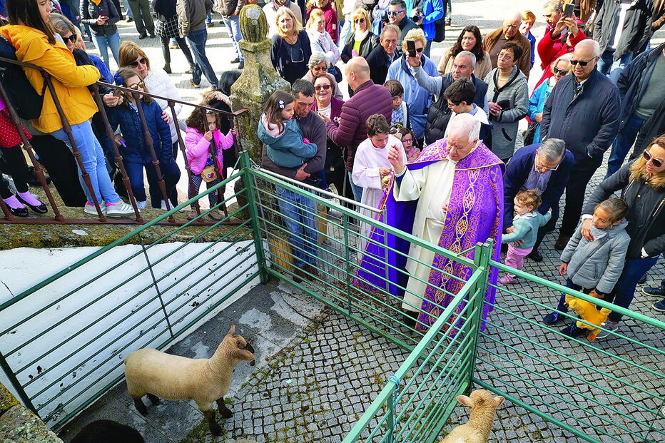 Animais foram benzidos num momento de festa e de crença em Castelo de Vide