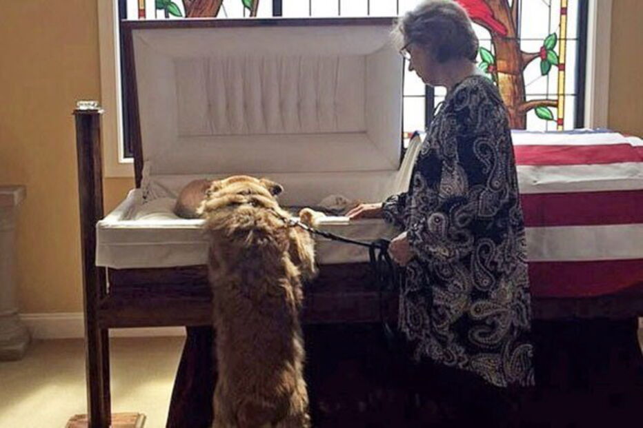 Fotografia mostra cão debruçado sobre o caixão do dono em funeral