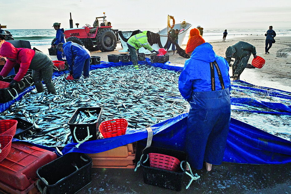Pescadores revoltados prometem lutar pelos seus direitos  