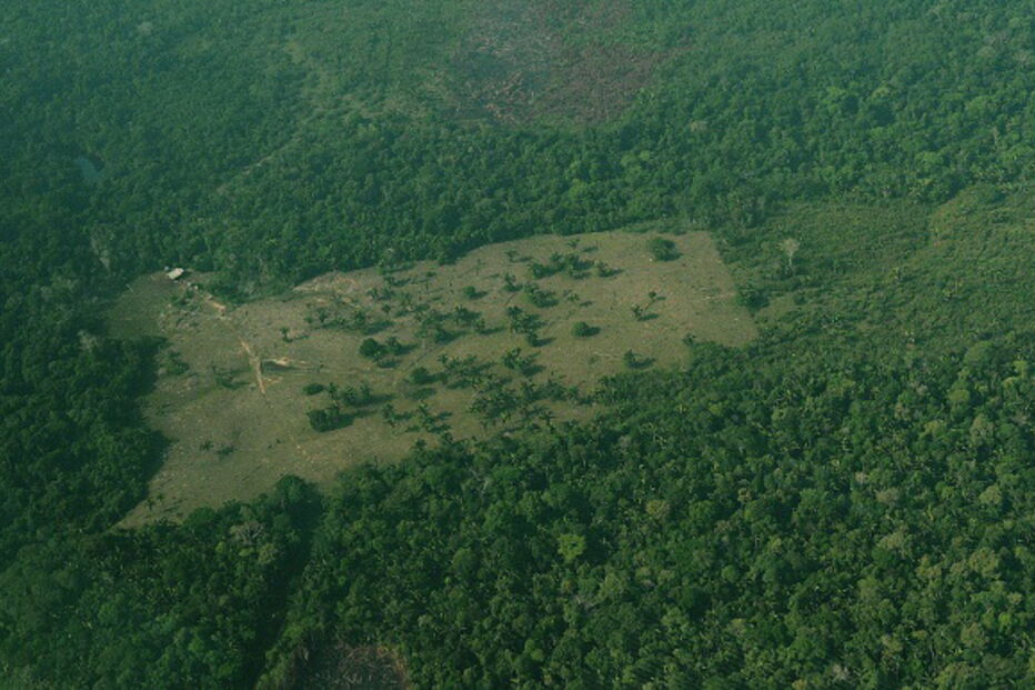 Desflorestação da Amazónia no Brasil