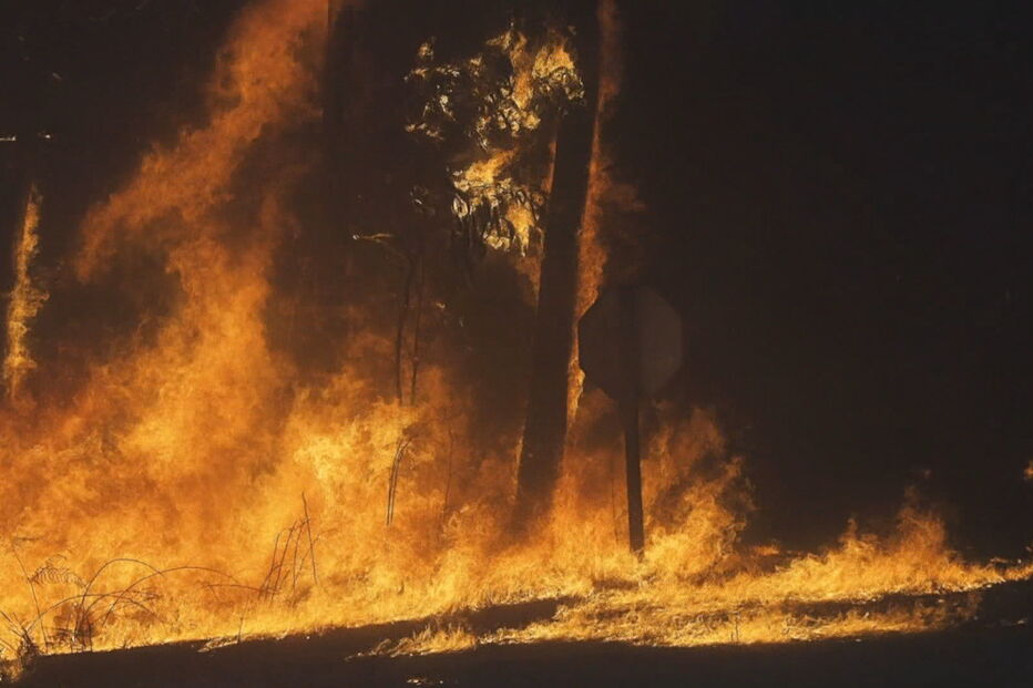 Ministério Público de Leiria defende que todos os arguidos do incêndio de Pedrógão Grande devem ir a julgamento  
