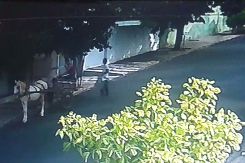 Dois homens foram filmados a arrombar a porta de um armazém para roubarem dois barris de cerveja. 