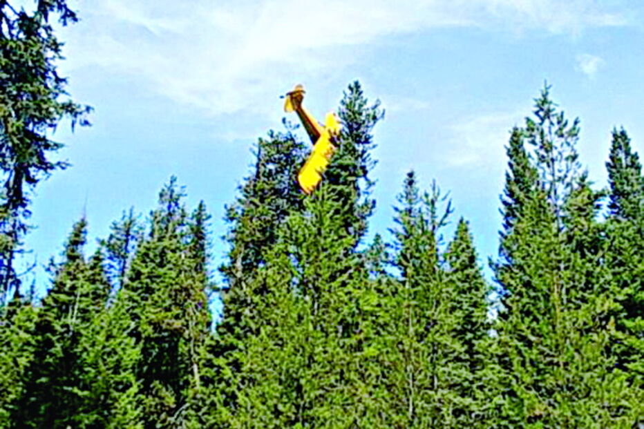 Avião ‘aterra’ em cima de árvore 