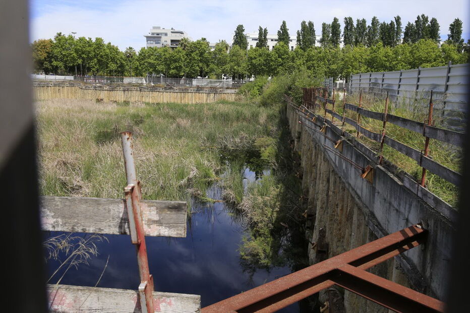 Filipe Reis desapareceu à porta de um bar em Lisboa