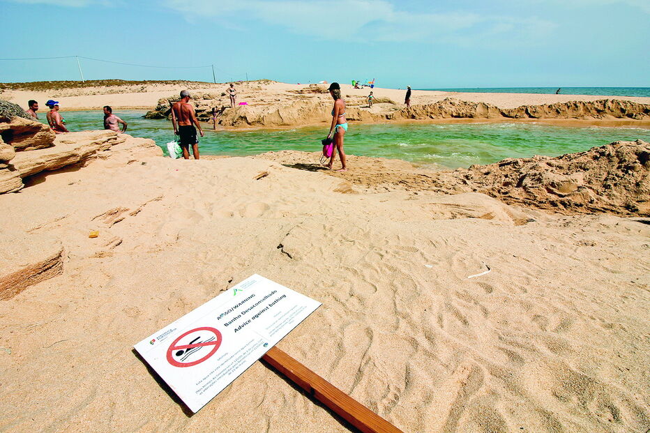 Projeto prevê a construção de uma ponte em madeira, com 225 metros, que irá atravessar a ribeira de Alcantarilha 