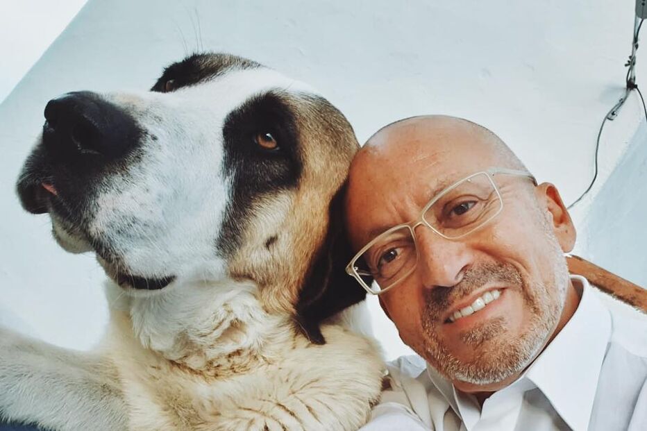 Manuel Luís Goucha, TVI, Você na TV