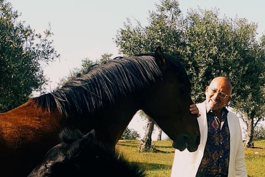 Manuel Luís Goucha, TVI, Você na TV