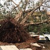 Ciclone Fani faz 15 mortos e deixa rasto de destruição na Índia e Bangladesh