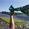 Adeptos do Sporting celebram vitória sofrida da Taça de Portugal 