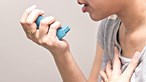 Pesquisas na Internet podem ajudar a prever hospitalizações por asma, indica estudo
