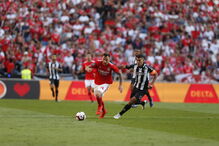 Benfica - Portimonense