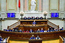 Deputados estão a dificultar o escrutínio dos seus rendimentos  