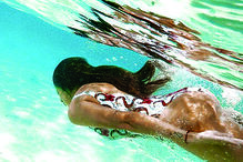 Magali Aravena, mulher de Salvio