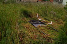 Bombeiro cai em poço após alerta de incêndio e acaba a salvar cão na Trofa