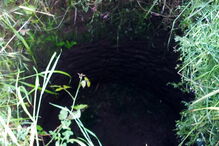 Bombeiro cai em poço após alerta de incêndio e acaba a salvar cão na Trofa