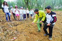 Esta sexta-feira cerca de 300 crianças de várias escolas da região plantaram árvores junto à vila de Monchique 