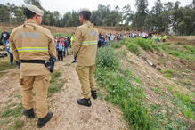 Esta sexta-feira cerca de 300 crianças de várias escolas da região plantaram árvores junto à vila de Monchique 