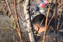 Thierry Neuville e navegador levados ao hospital após despiste no Rali do Chile