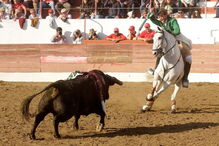 Cavaleiro João Dinis