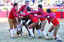 Forcados prometem dar espetáculo na arena 