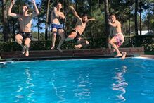 Toto Salvio, Grimaldo, Benfica