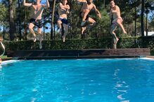 Toto Salvio, Grimaldo, Benfica