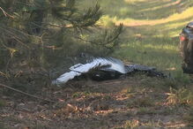 2019-05-15_18_28_46 0175AAF2.jpg