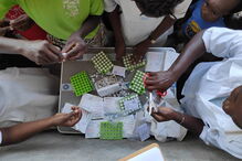 Sílvia Bentes partiu para Moçambique sem pensar duas vezes. Em casa deixou os filhos, um turismo rural e uma farmácia por gerir