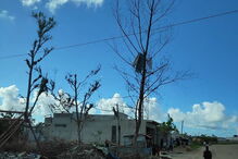 Sílvia Bentes partiu para Moçambique sem pensar duas vezes. Em casa deixou os filhos, um turismo rural e uma farmácia por gerir