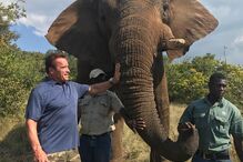 Arnold Schwarzenegger