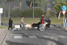 Incêndio destrói dez barracas em Sacavém. Explosões ouvidas no local