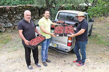 Produtor Armando Ferreira (à direita) e Ricardo Simões, da Associação de Produtores de Cereja de Penajóia (ao centro) 