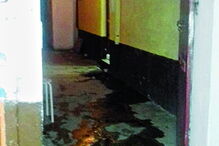 A casa no Montijo onde morava até há uma semana a mãe de Sofia Ribeiro, Salomé, ficou neste estado    