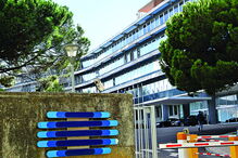 Baratas regressaram à RTP, mas a administração presidida por Gonçalo Reis foi rápida a combater a praga 