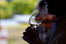 5ª edição do Alvarinho Wine Fest 