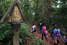  Alunos da ilha do Príncipe aprendem sobre ciência em caminhadas na floresta