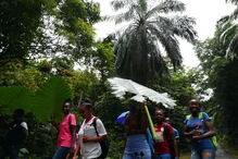  Alunos da ilha do Príncipe aprendem sobre ciência em caminhadas na floresta