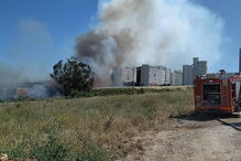 Incêndio consome zona de mato nas Olaias, em Lisboa