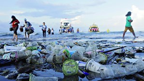 Luta contra o uso excessivo do plástico