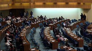Nações Unidas pressionam Angola sobre acordo de livre comércio 