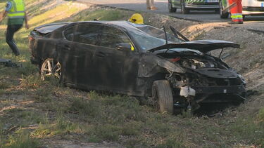 Ex-mulher do guitarrista dos Xutos multada por ter excesso de animais