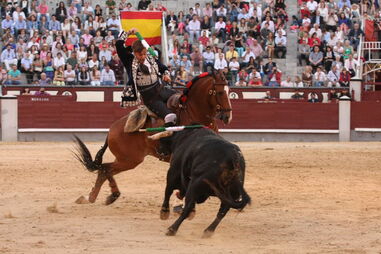 Cavaleiro João Dinis