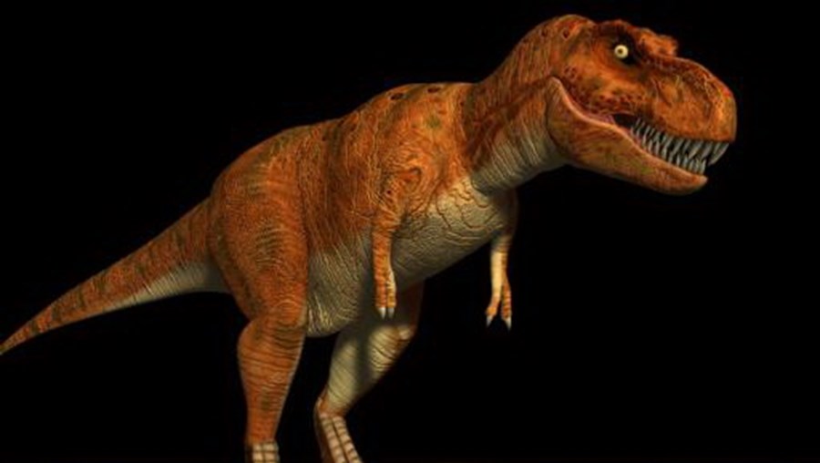 Paleontólogos descobrem novo dinossauro um anão de Tiranossauro Rex Mundo Correio da Manhã