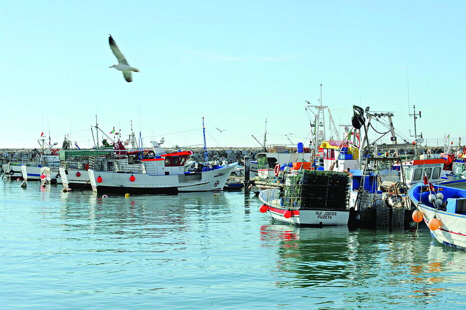 Porto de Quarteira vai ter investimento para melhorar as condições para os pescadores 