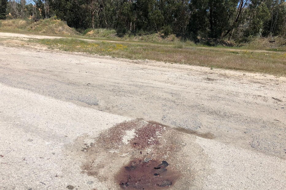 Homem encontrado morto em Setúbal